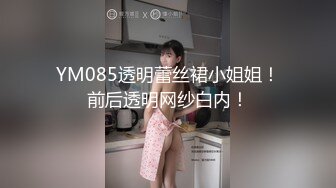 YM085透明蕾丝裙小姐姐！前后透明网纱白内！