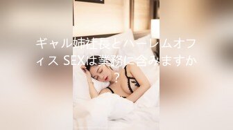 ギャル姉社長とハーレムオフィス SEXは業務に含みますか？