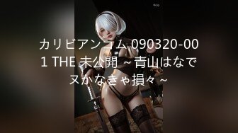 カリビアンコム 090320-001 THE 未公開 ～青山はなでヌかなきゃ損々～