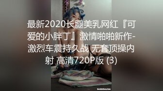 最新2020长腿美乳网红『可爱的小胖丁』激情啪啪新作-激烈车震持久战 无套顶操内射 高清720P版 (3)