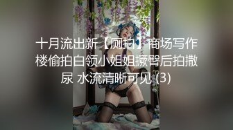 十月流出新【厕拍】商场写作楼偷拍白领小姐姐撅臀后拍撒尿 水流清晰可见 (3)