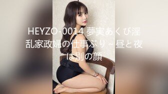 HEYZO-0014 夢実あくび淫乱家政婦の仕事ぶり～昼と夜は別の顔