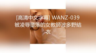 [高清中文字幕] WANZ-039被凌辱墮落的女教師波多野結衣