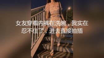 女友穿着内裤在洗碗，我实在忍不住了，进去直接抽插