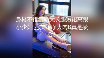 身材不错气质大长腿短裙高跟小少妇 肥美干净大肉B真是攒劲!