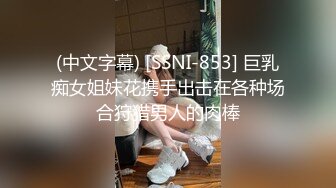 (中文字幕) [SSNI-853] 巨乳痴女姐妹花携手出击在各种场合狩猎男人的肉棒