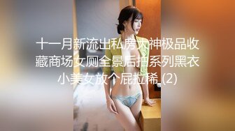 十一月新流出私房大神极品收藏商场女厕全景后拍系列黑衣小美女放个屁拉稀 (2)