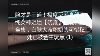 脸才是王道！极度反差高颜清纯女神姐姐【晓雅】性爱私拍全集，白肤大波粉奶头可惜私处已被金主玩黑 (1)