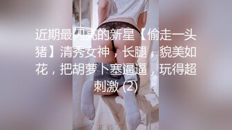 近期最闪亮的新星【偷走一头猪】清秀女神，长腿，貌美如花，把胡萝卜塞逼逼，玩得超刺激 (2)