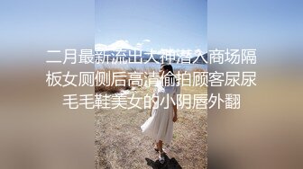 二月最新流出大神潜入商场隔板女厕侧后高清偷拍顾客尿尿毛毛鞋美女的小阴唇外翻