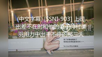 (中文字幕) [SSNI-903] 上司出差不在时和他的妻子仲村美羽用力中出干不停的那三天