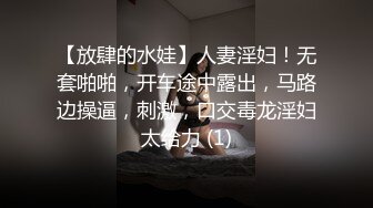 【放肆的水娃】人妻淫妇！无套啪啪，开车途中露出，马路边操逼，刺激，口交毒龙淫妇太给力 (1)