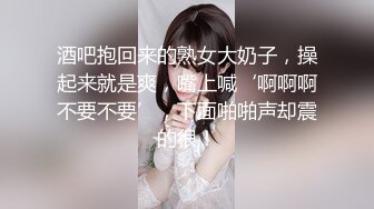 酒吧抱回来的熟女大奶子，操起来就是爽，嘴上喊‘啊啊啊不要不要’，下面啪啪声却震的很！