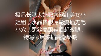 极品长腿大奶肥穴网红美女小姐姐，水晶棒假屌轮流插无毛小穴，黑丝高跟鞋翘起双腿，特写假屌爆插高潮娇喘