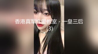 香港真军性爱教室 - 一皇三后 (3)